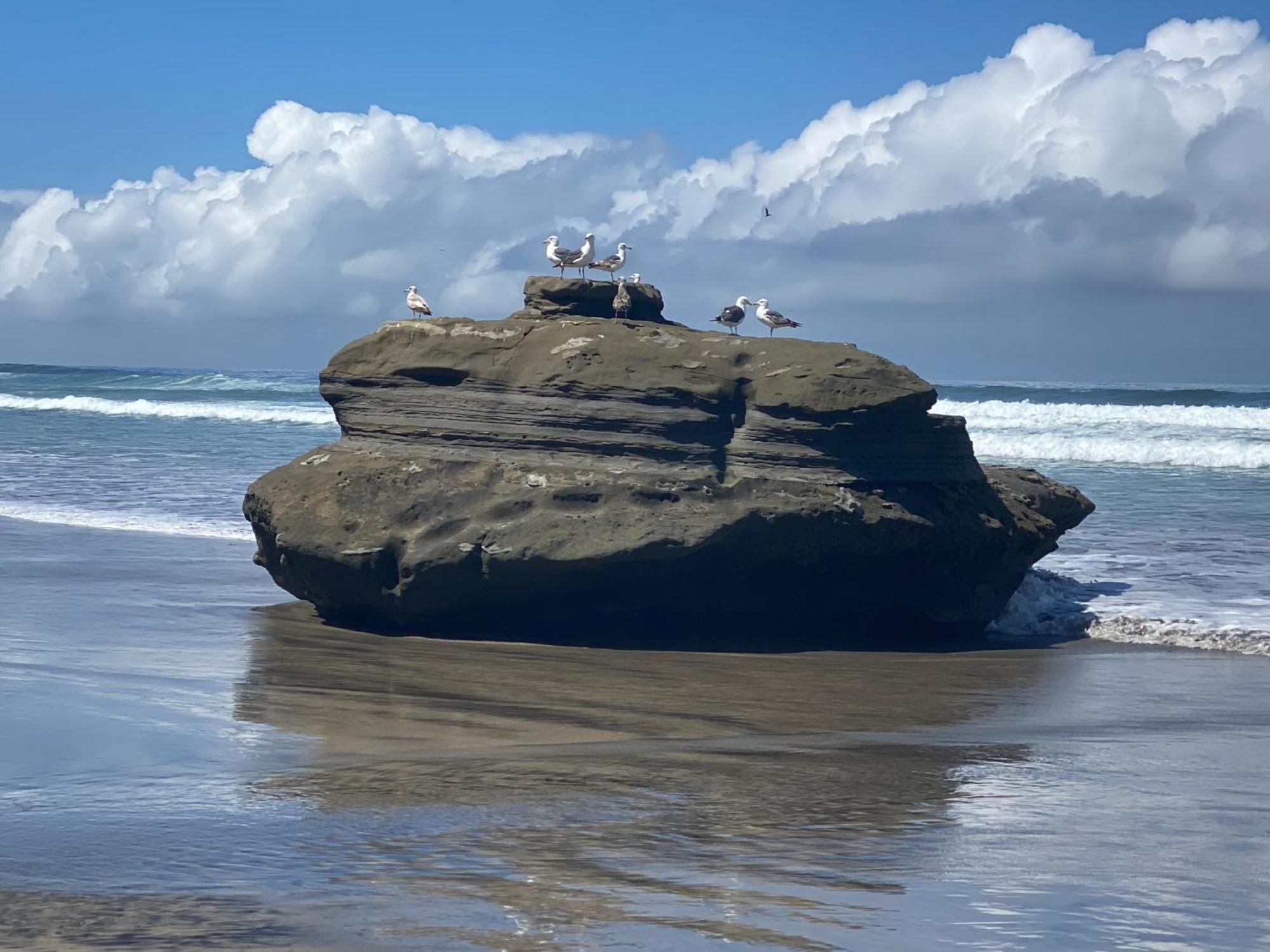 Dolphin Beach Get Away Rosarito Buitenkant foto